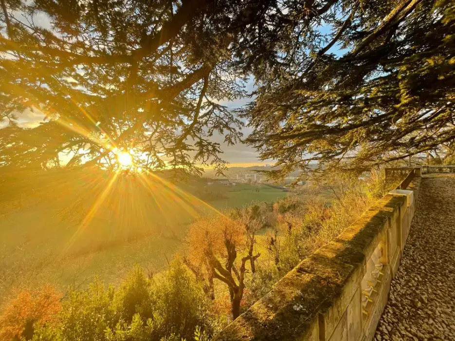 Les Hauts de la Frégate 13