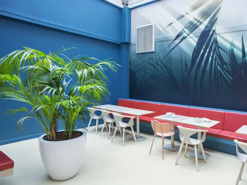 Ibis Styles Toulon Centre Port 11