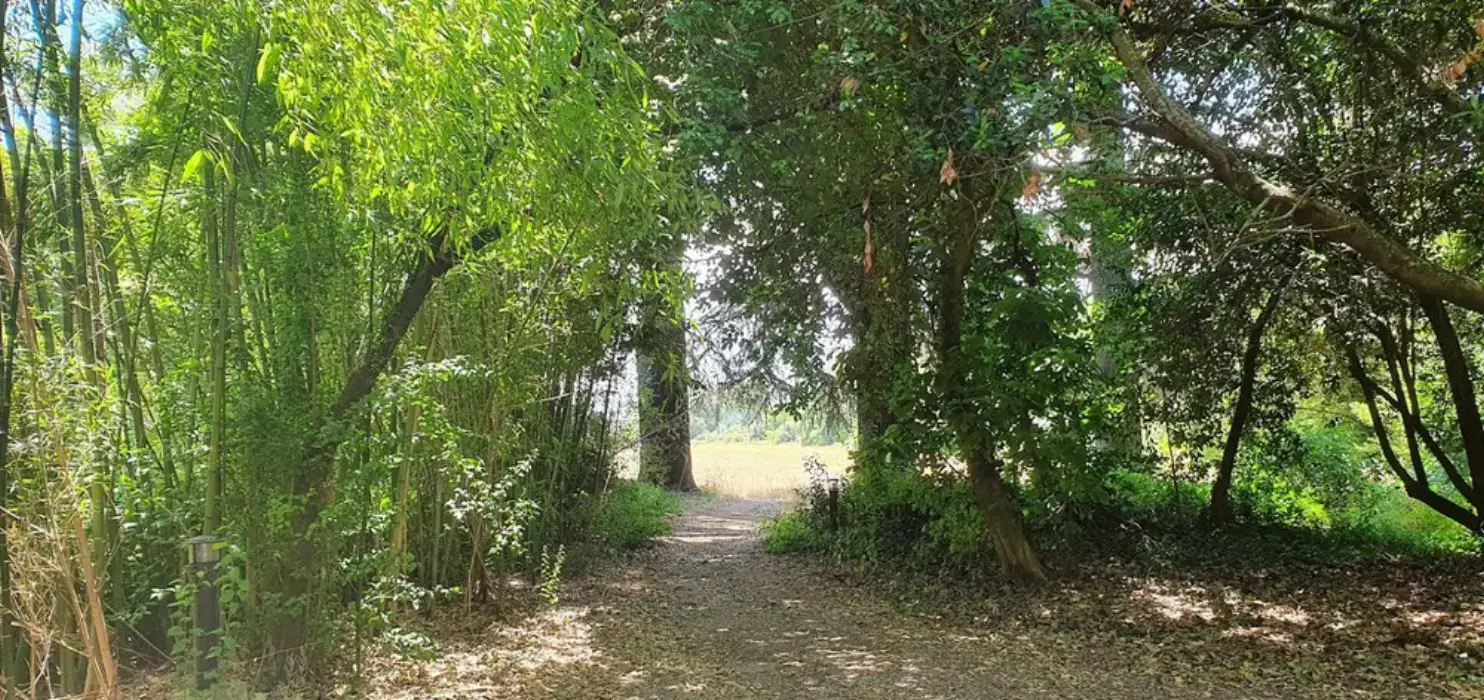 Château de l'Ange au Violon 9