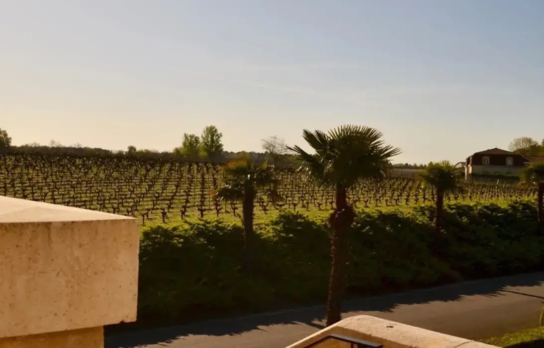 Château Larrivet Haut-Brion 3