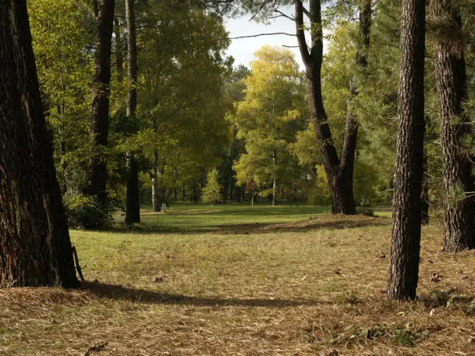 Golf des 24 heures 10