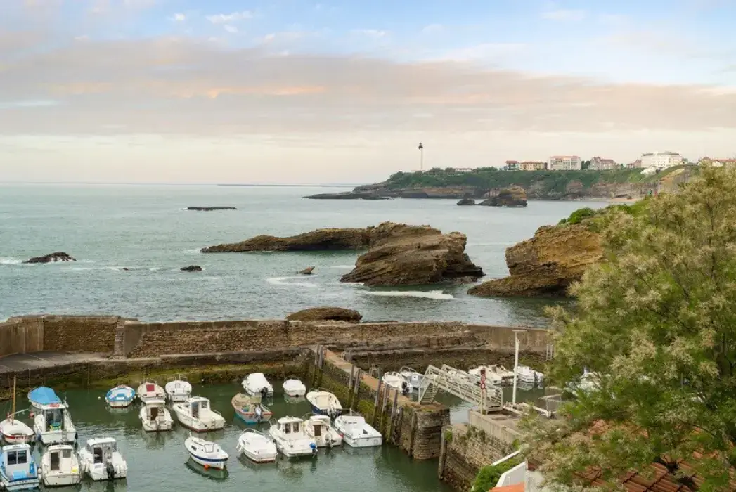 Sure Hotel by Best Western Biarritz Aéroport 5