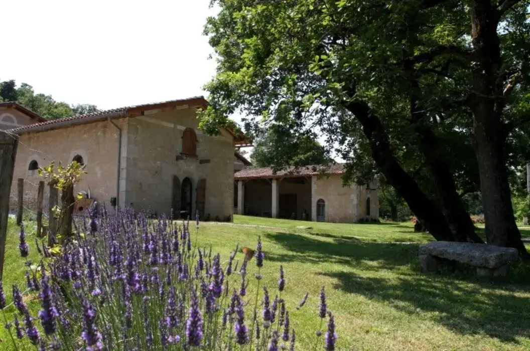 Domaine le Castelet 3