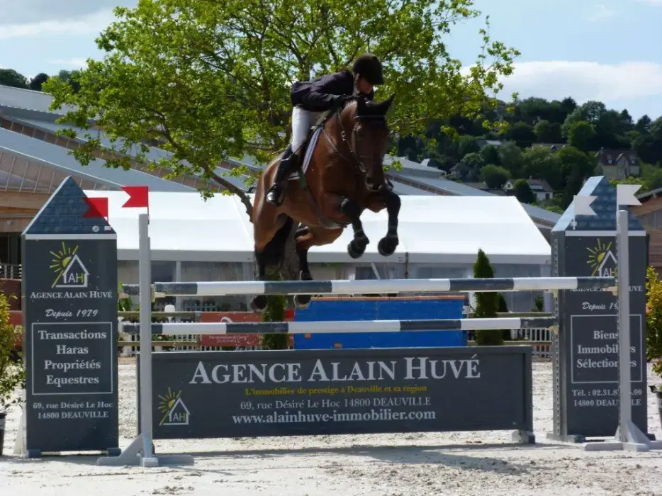 Pole International du Cheval 10