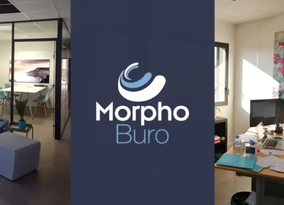 Morphoburo 8