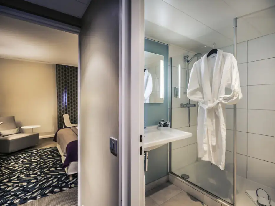 Mercure Mulhouse Centre 11