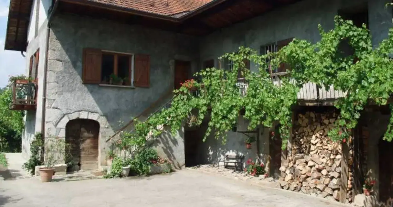 Domaine du Grand Cellier 2