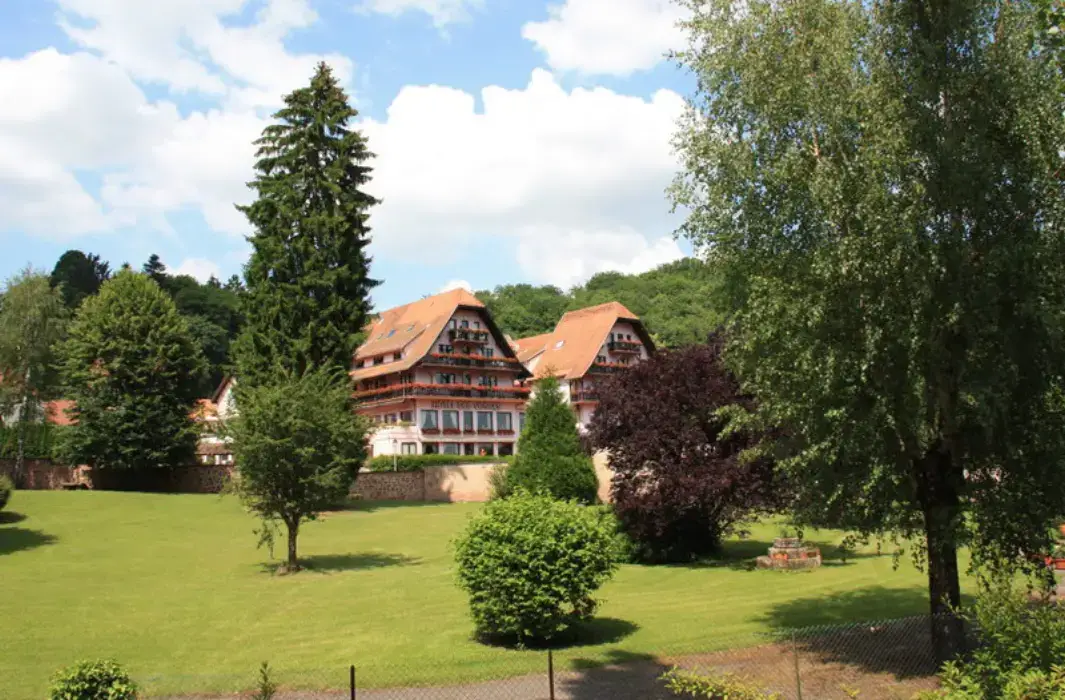 Hotel Restaurant Des Vosges 2