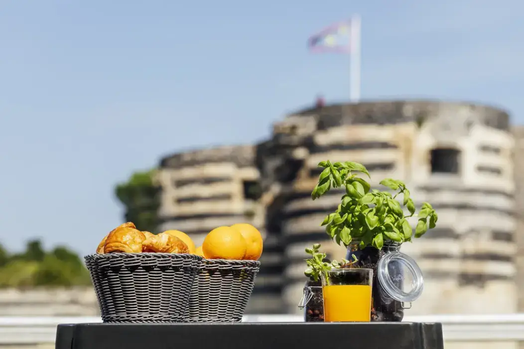 La Terrasse Angers 3