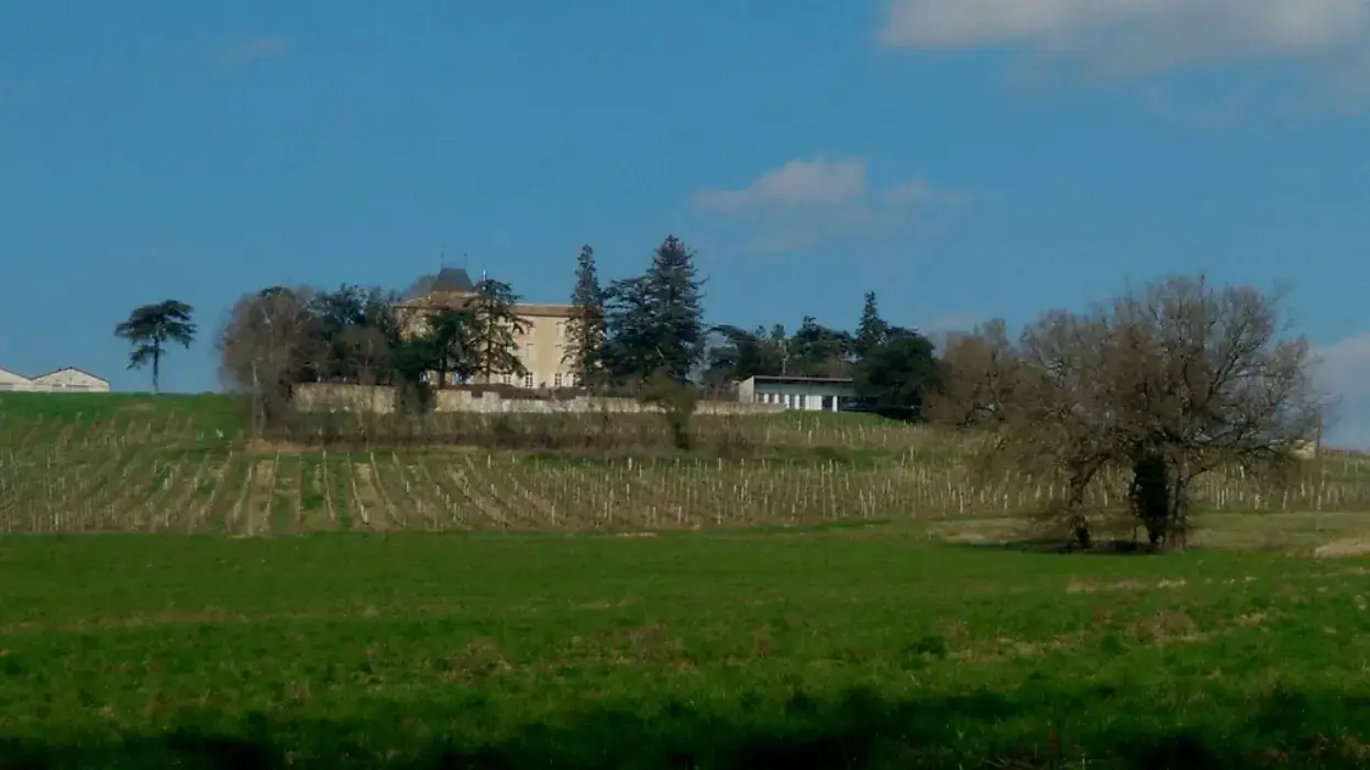Chateau de Mons en Armagnac 8