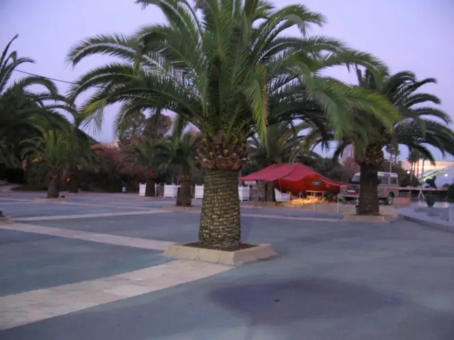 Parc Phoenix 4