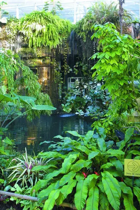 Parc Phoenix 6