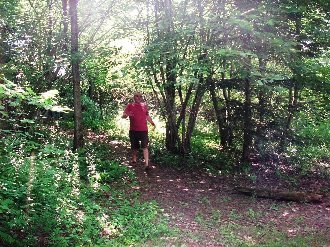 Jeu de piste nature 2