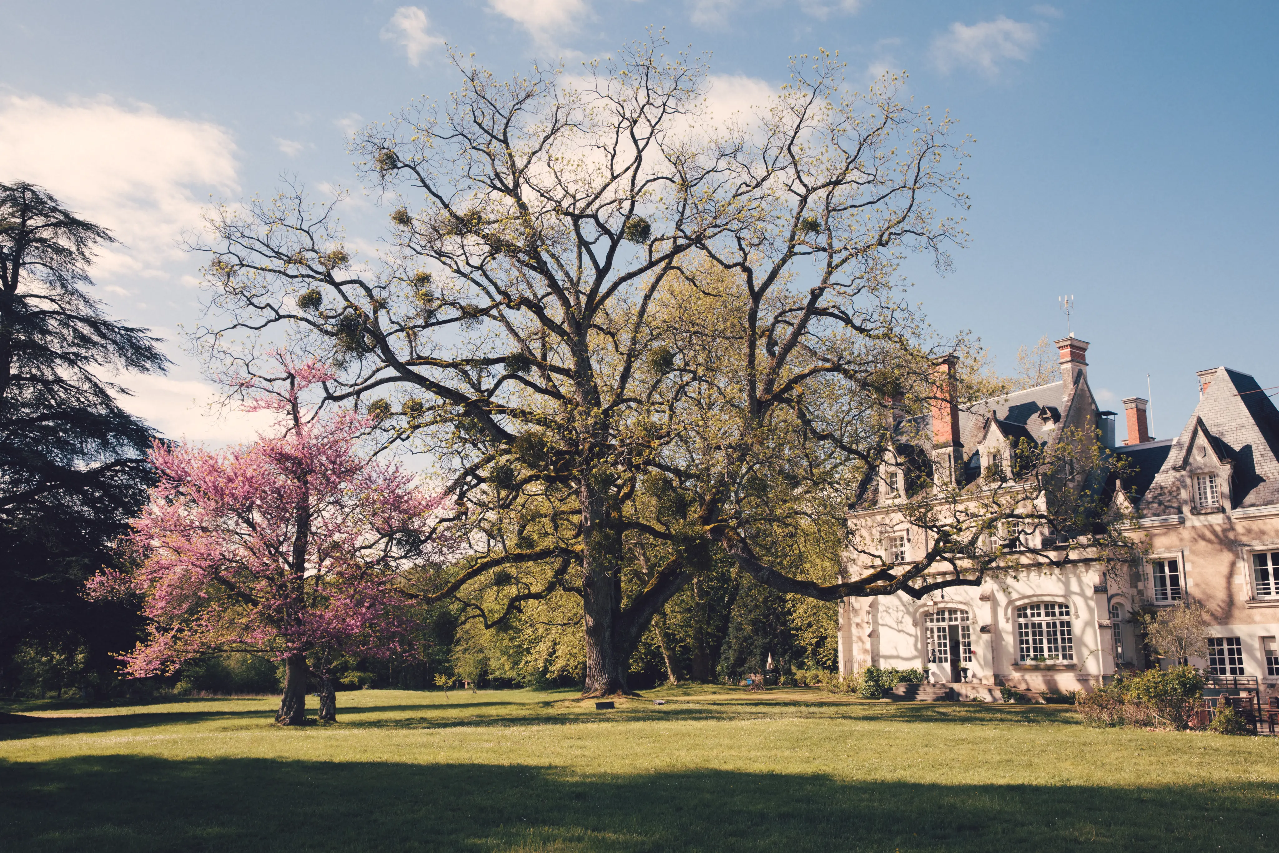 Chateau de Razay 7