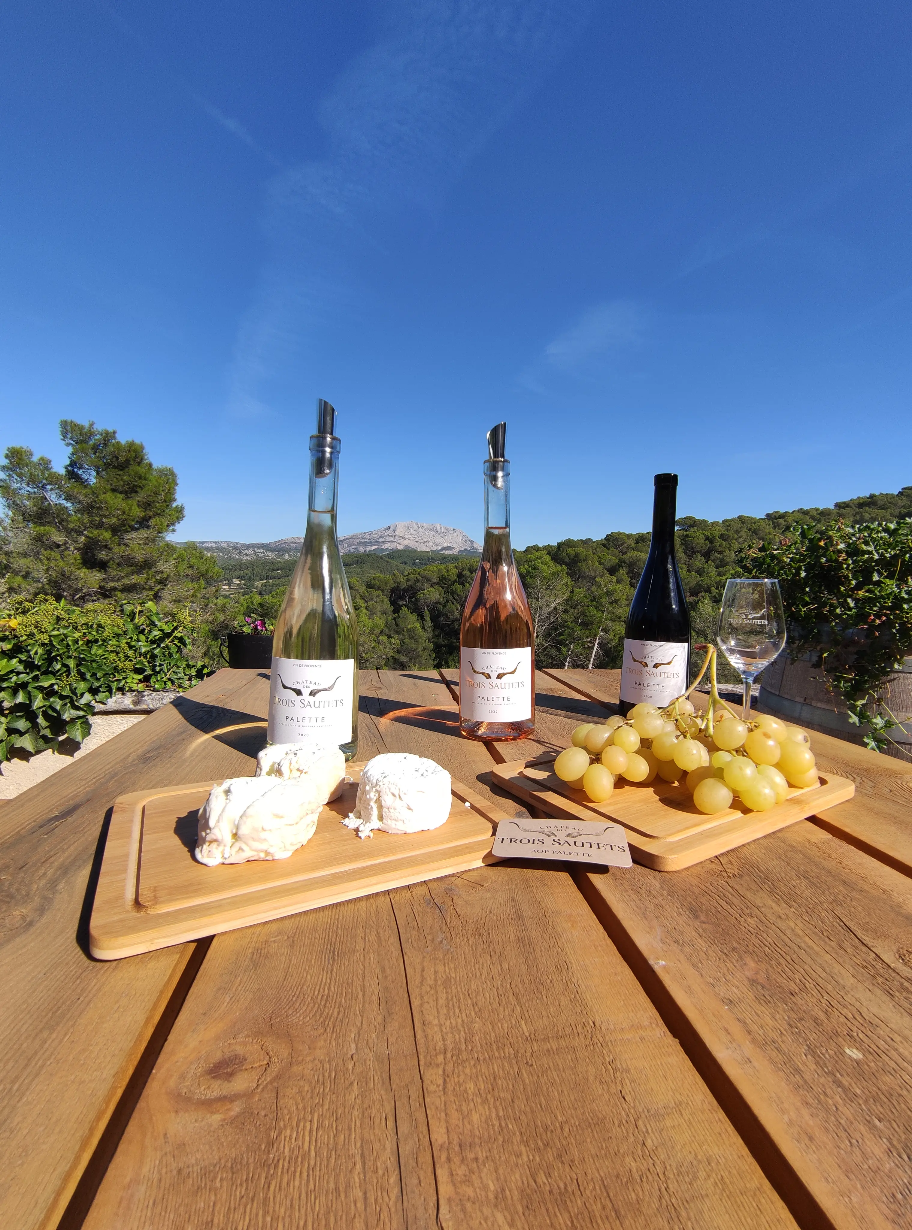 Visite et dégustation Vignoble 5