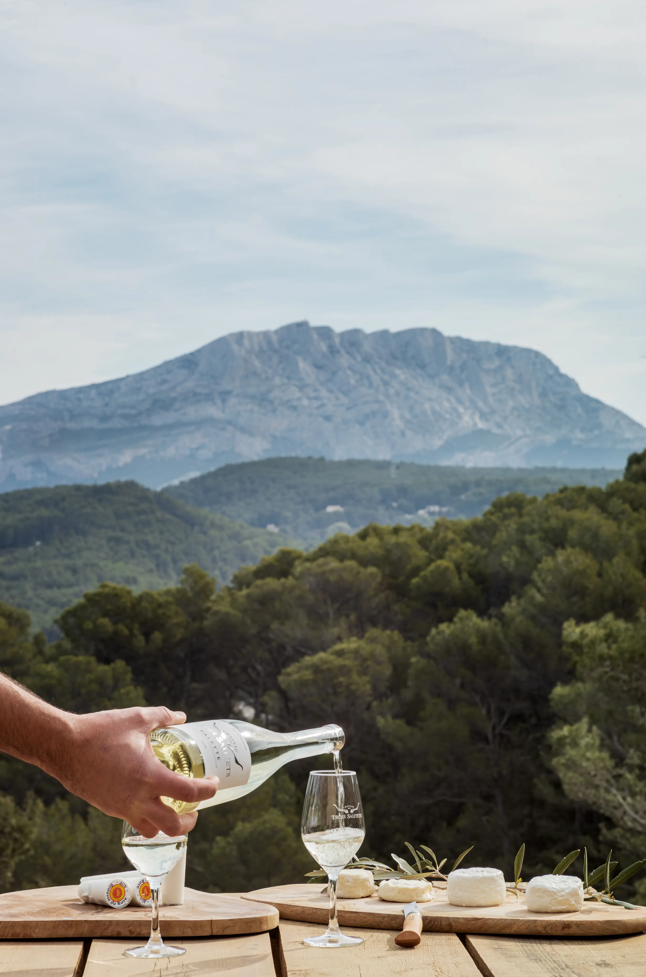 Visite et dégustation Vignoble 6