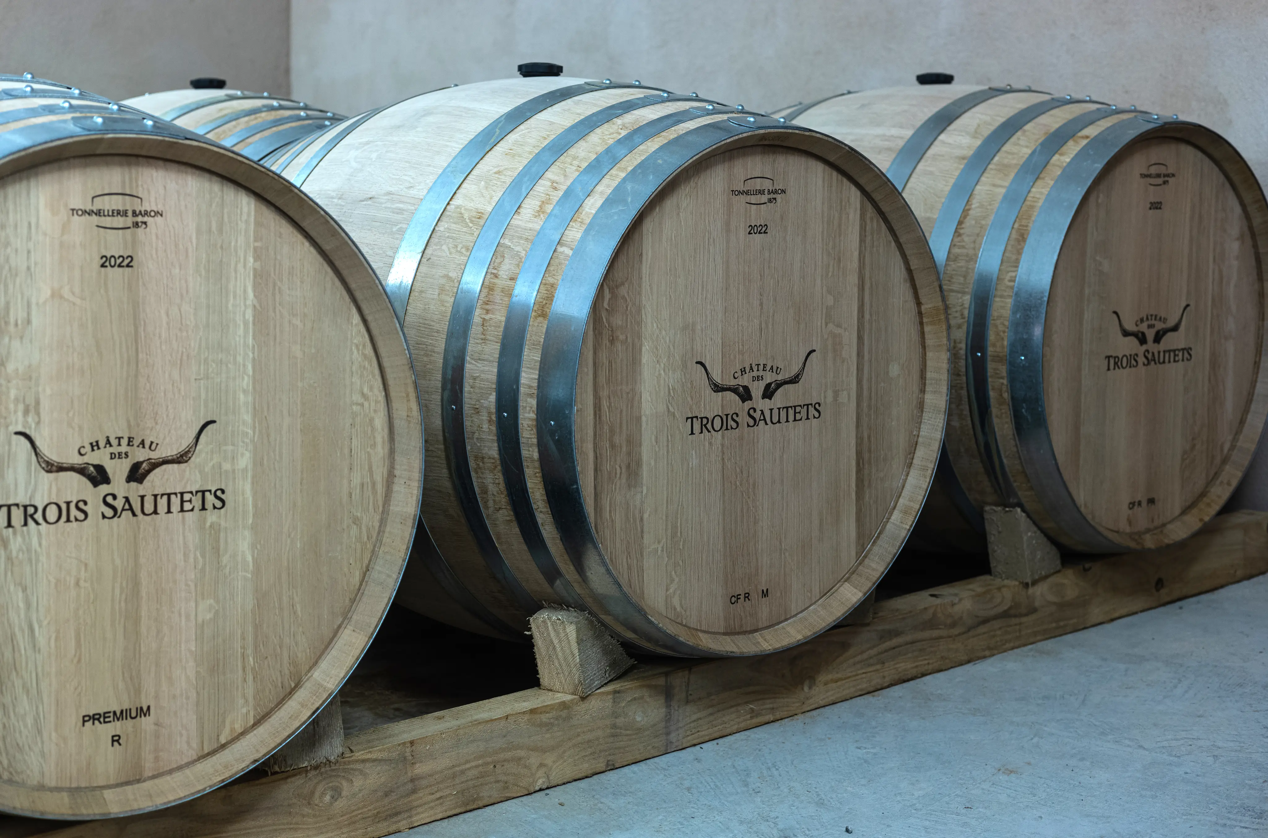 Visite et dégustation Vignoble 9