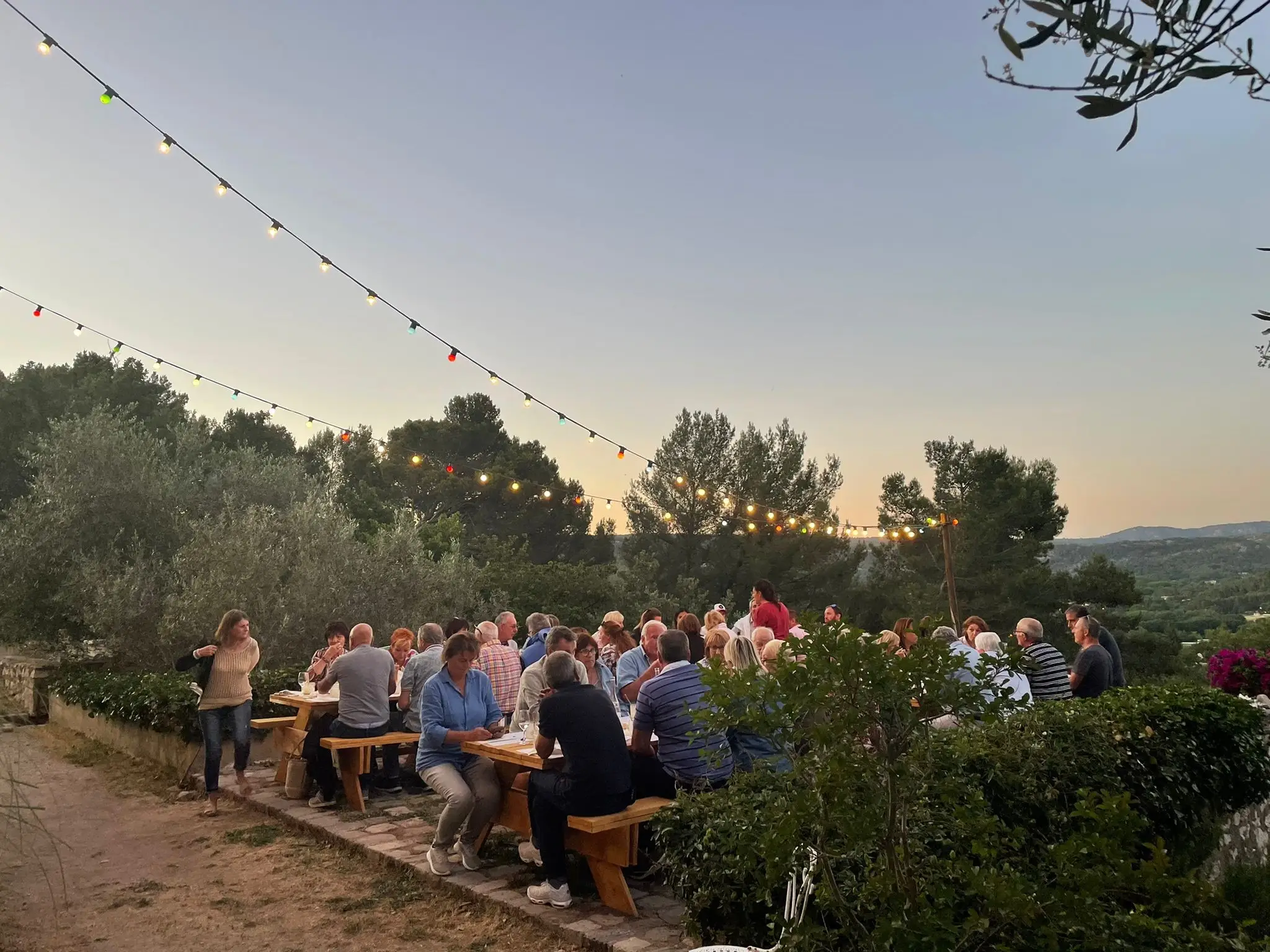 Visite et dégustation Vignoble 10