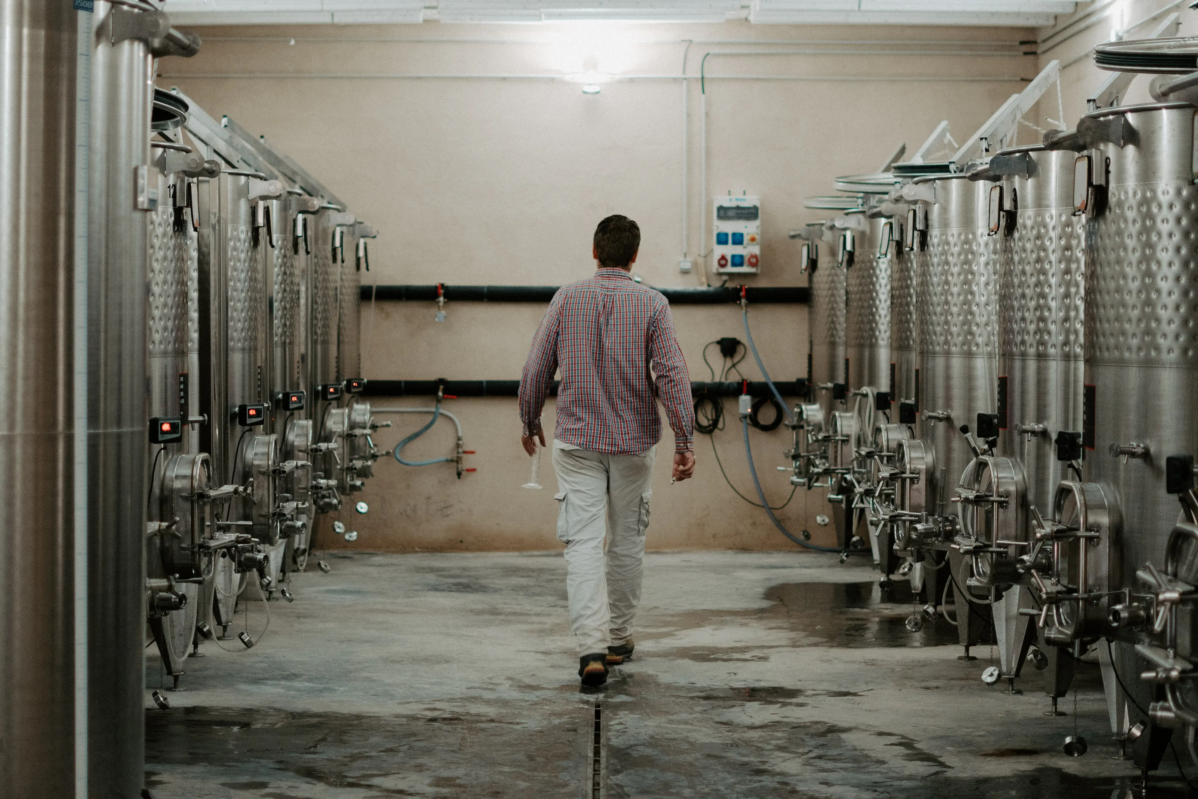 Visite et dégustation Vignoble 11