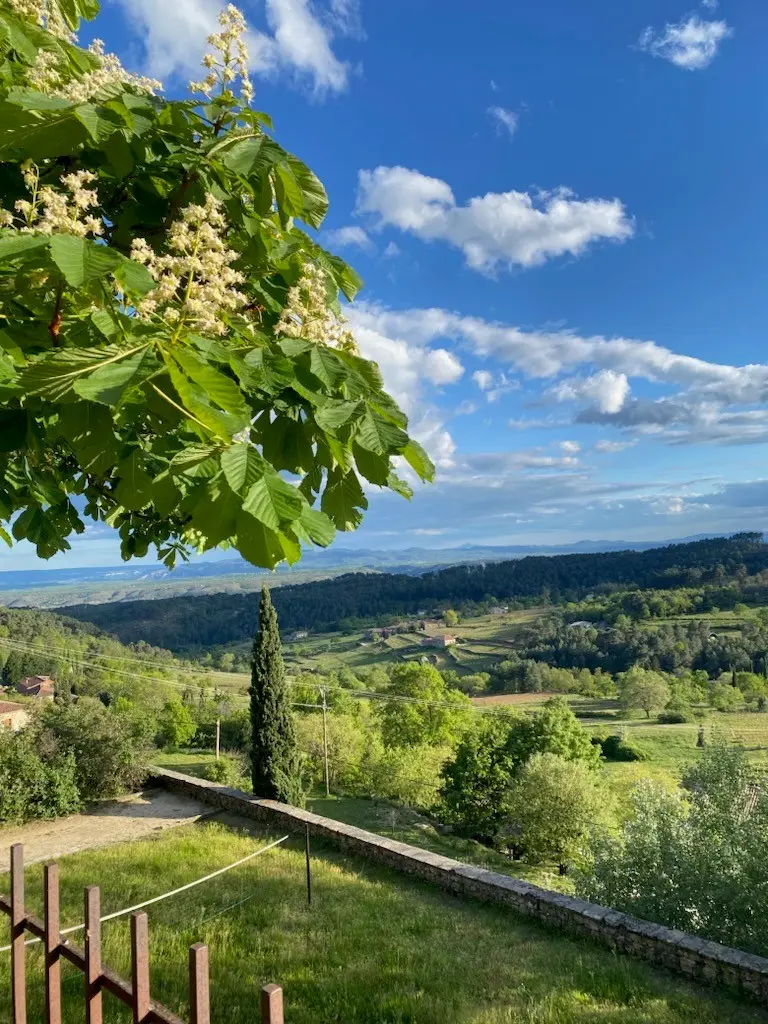 La Bastide de Sanilhac 14