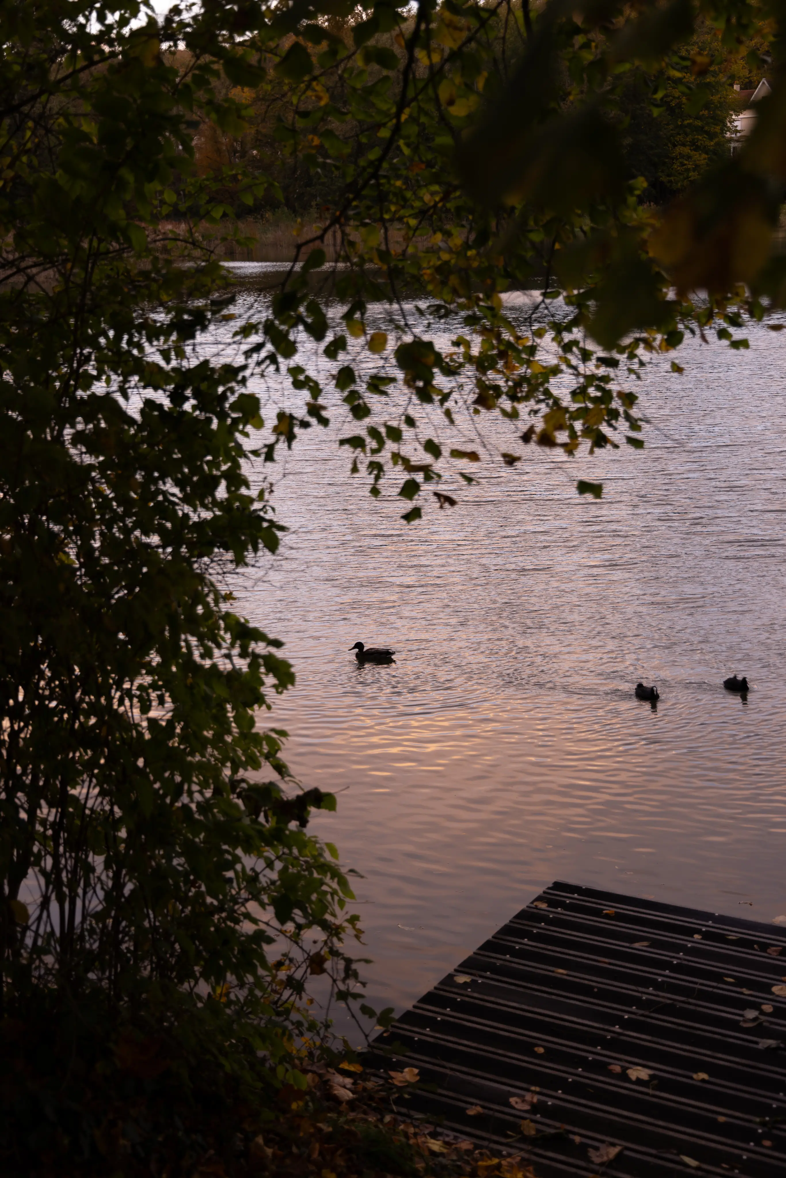 Hôtel Les Etangs de Corot 23