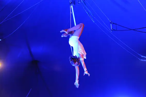 Ecole de Cirque de Bordeaux 12
