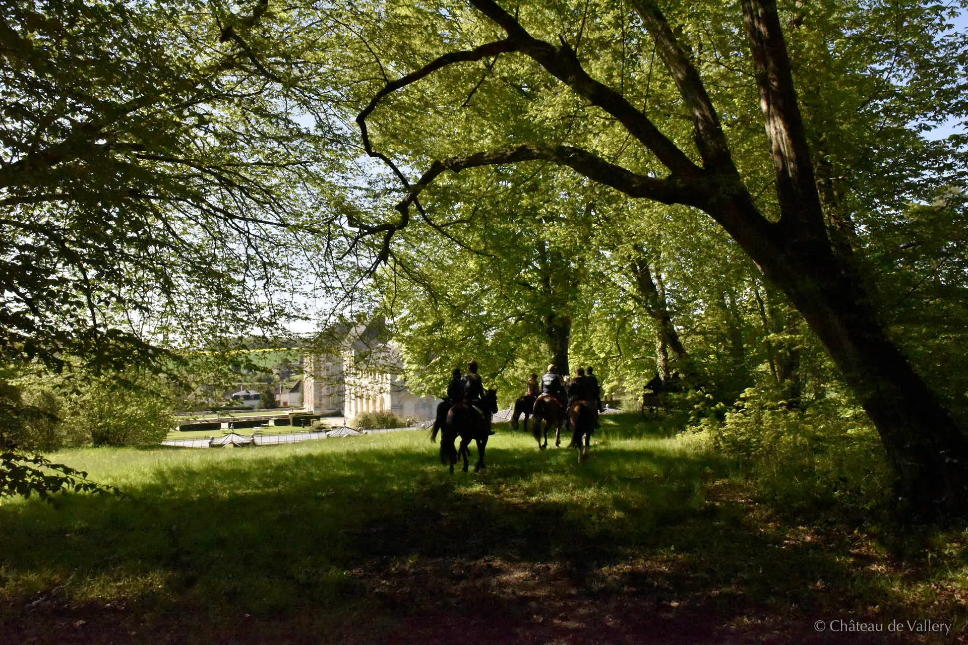 Château de Vallery 60