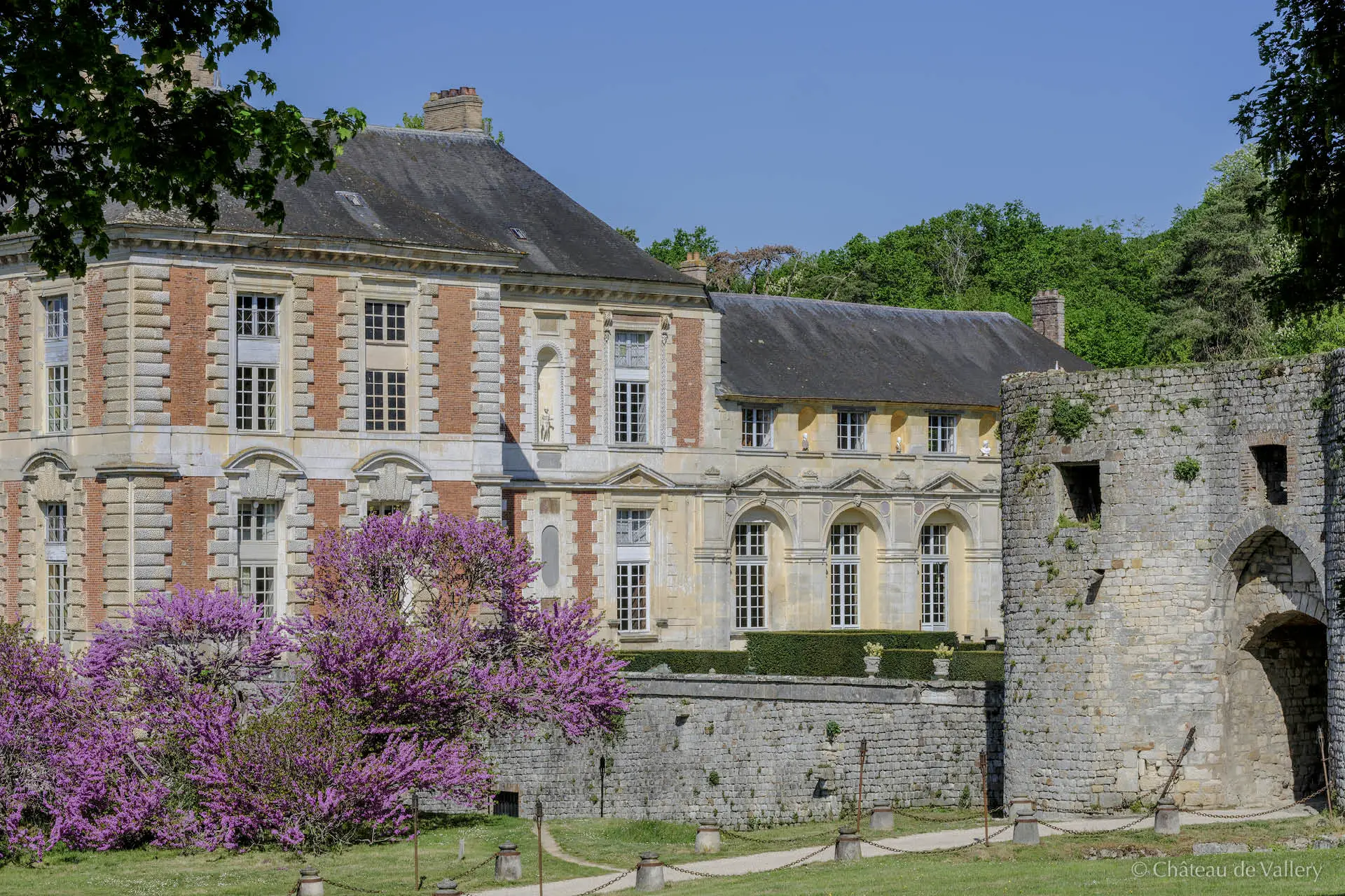 Château de Vallery 10