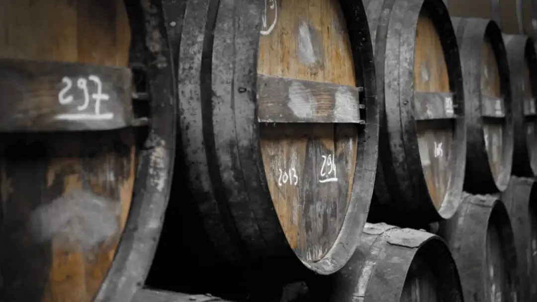 Visite Vignerons 3