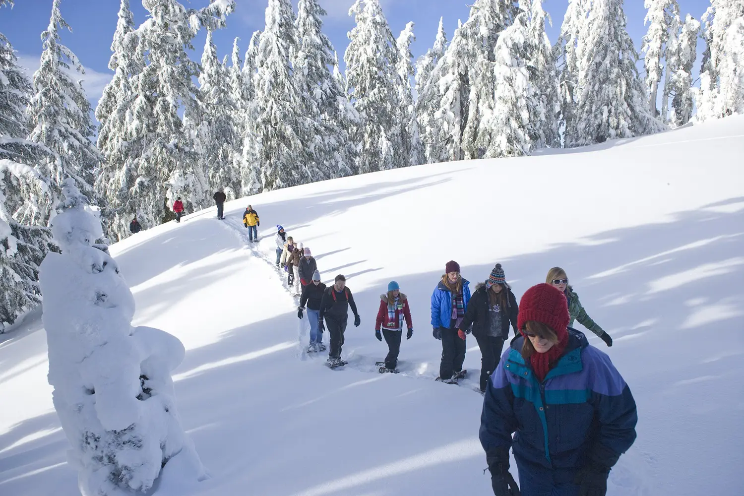 Chasse à l'apéro glacé 3