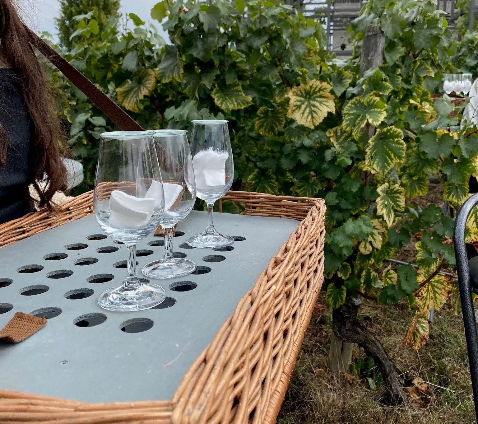 Ateliers itinérants autour du goût : Œno-Station🍷 4