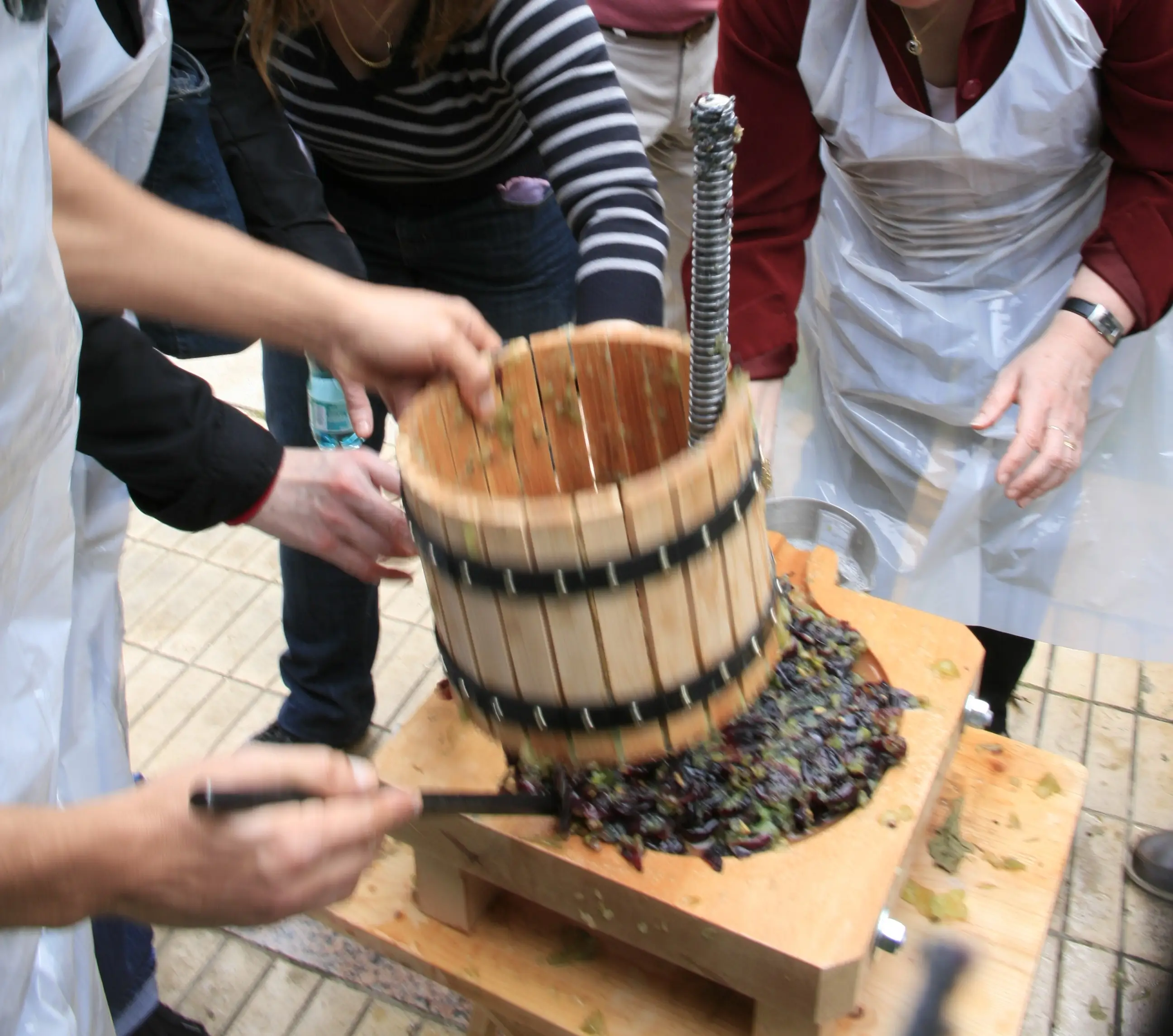 Team building Challenge du vigneron 4