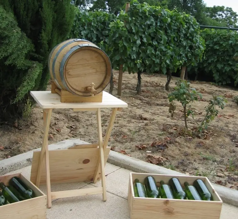 Team building Challenge du vigneron 6