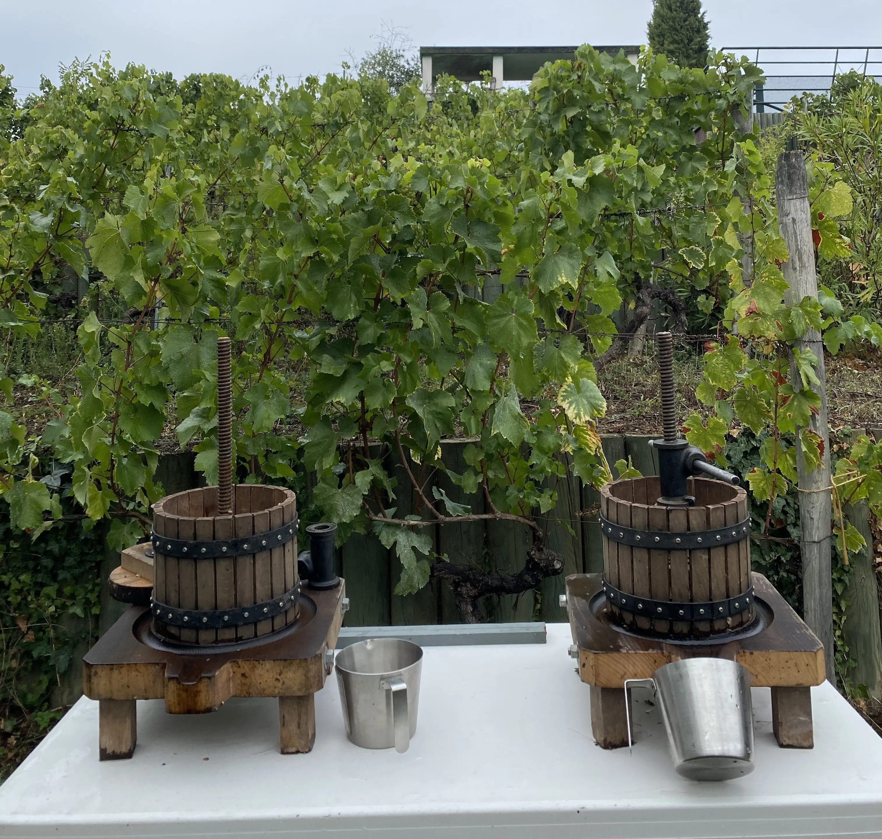 Team building Challenge du vigneron 13