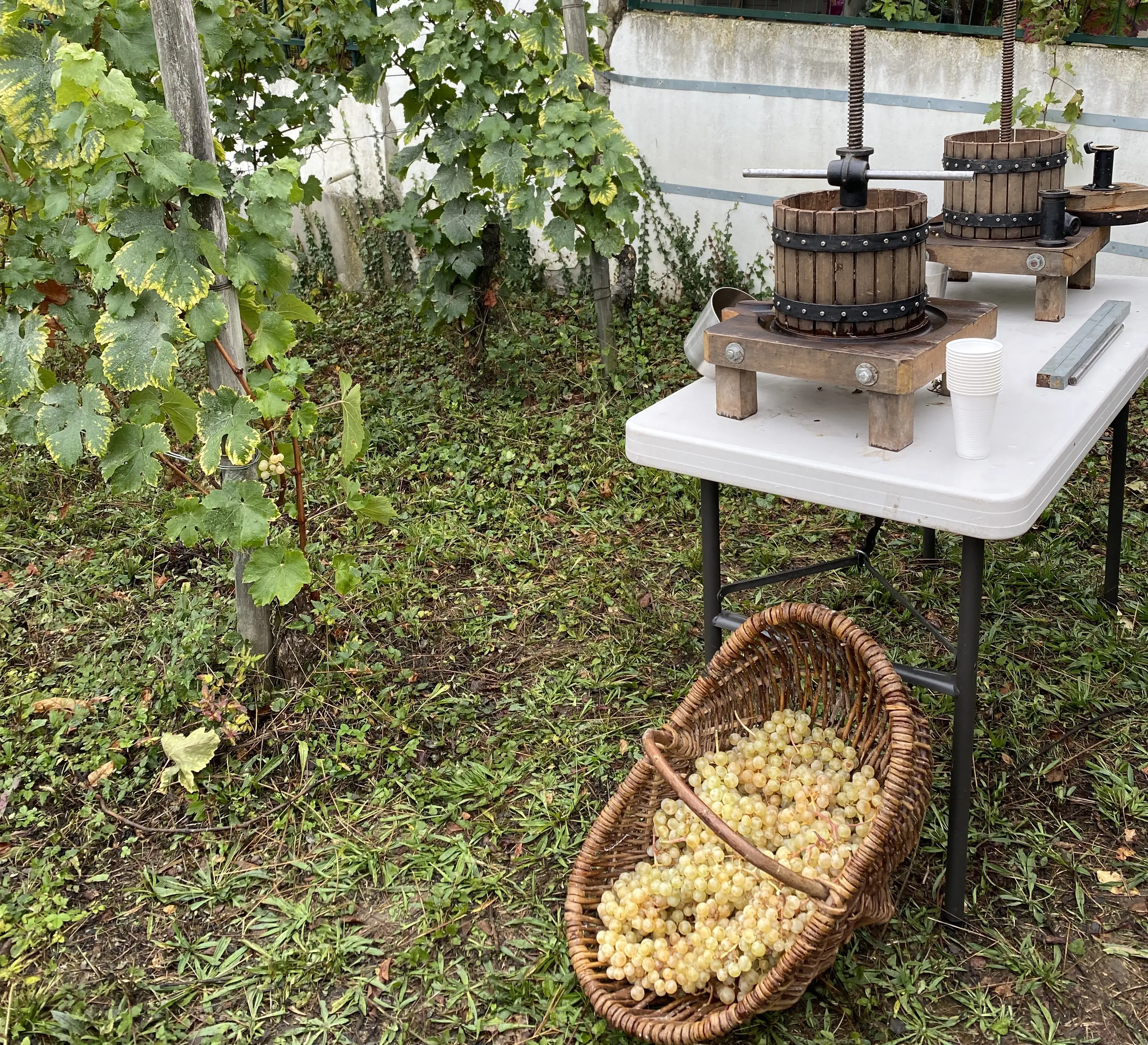 Team building Challenge du vigneron 14