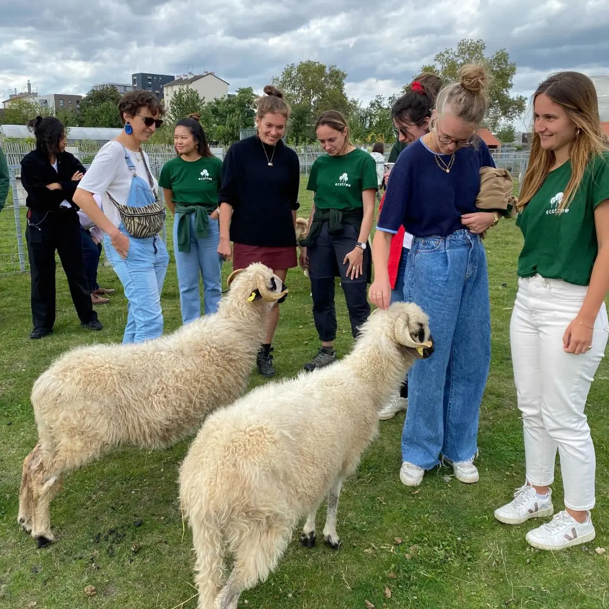Ferme de Gally 14