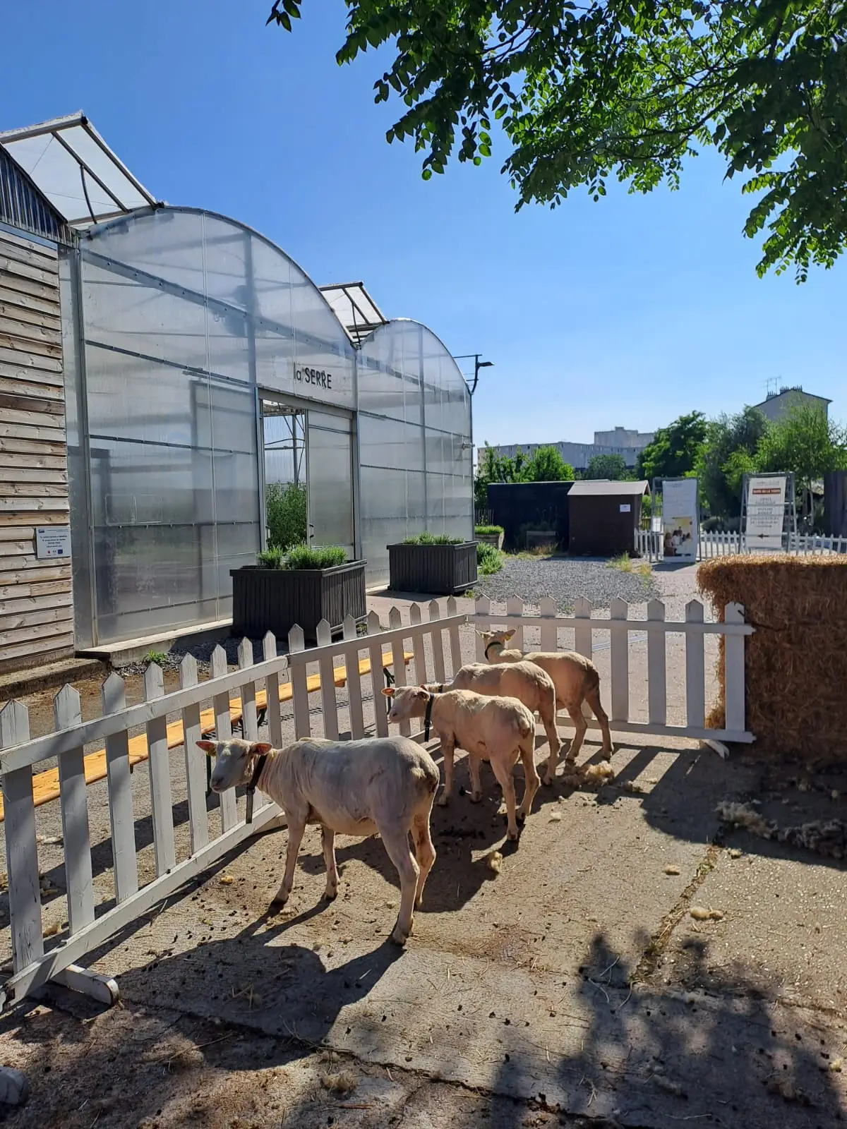 Ferme de Gally 16