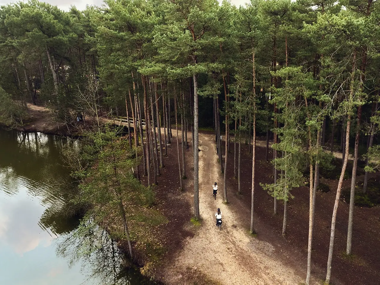 Center Parcs - Les Hauts de Bruyères - Sologne 13