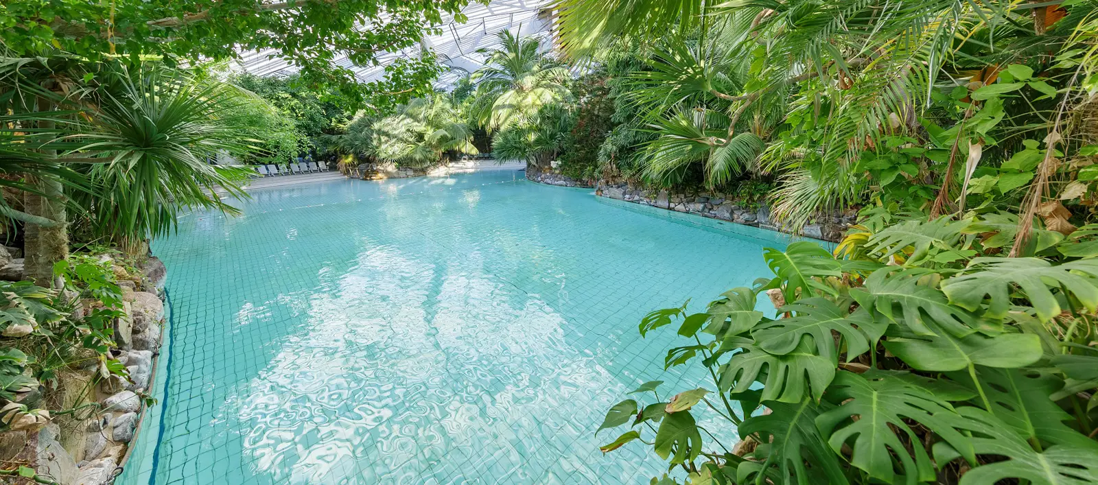 Center Parcs - Les Hauts de Bruyères - Sologne 10