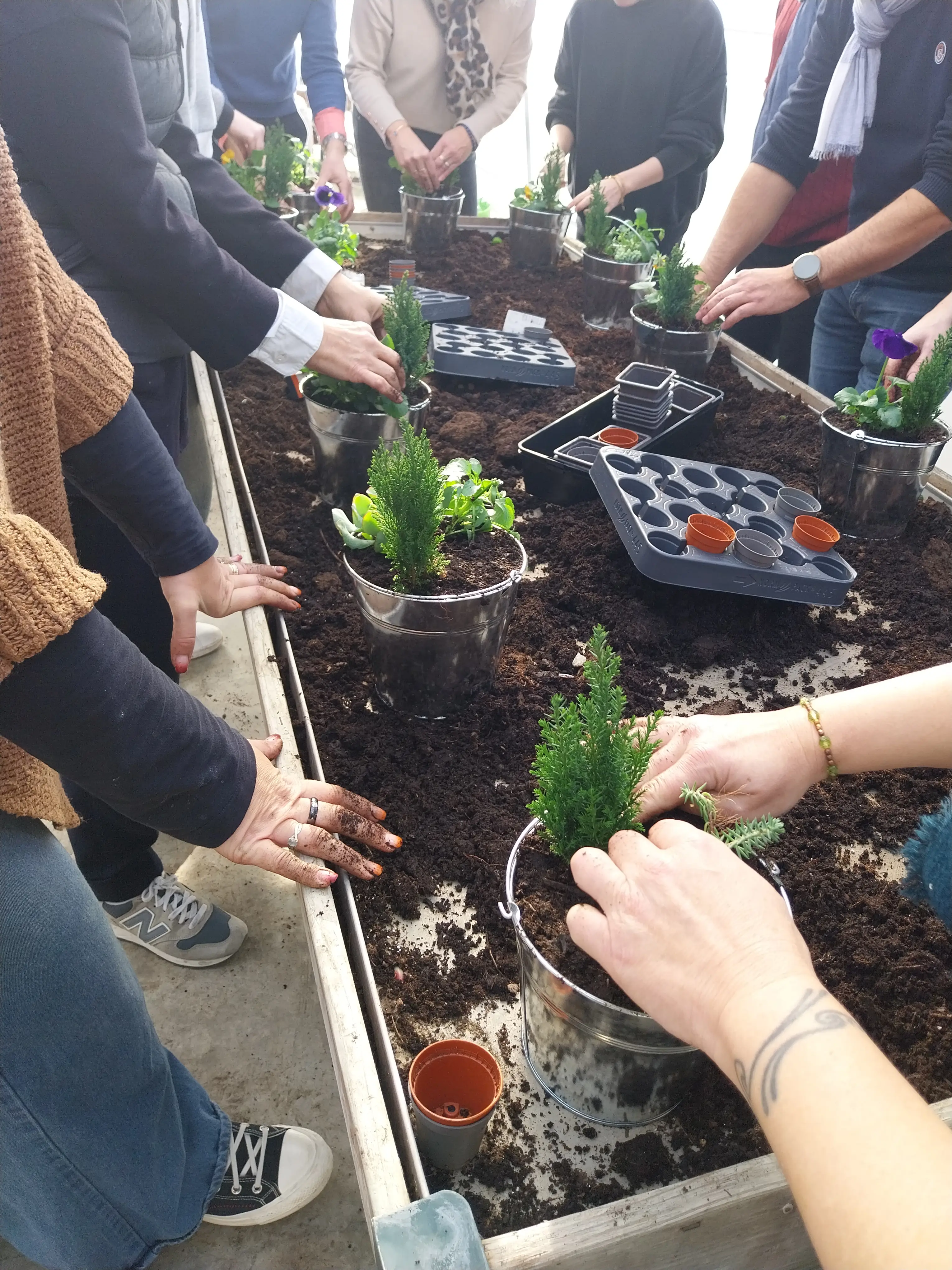 Atelier Main Verte 2