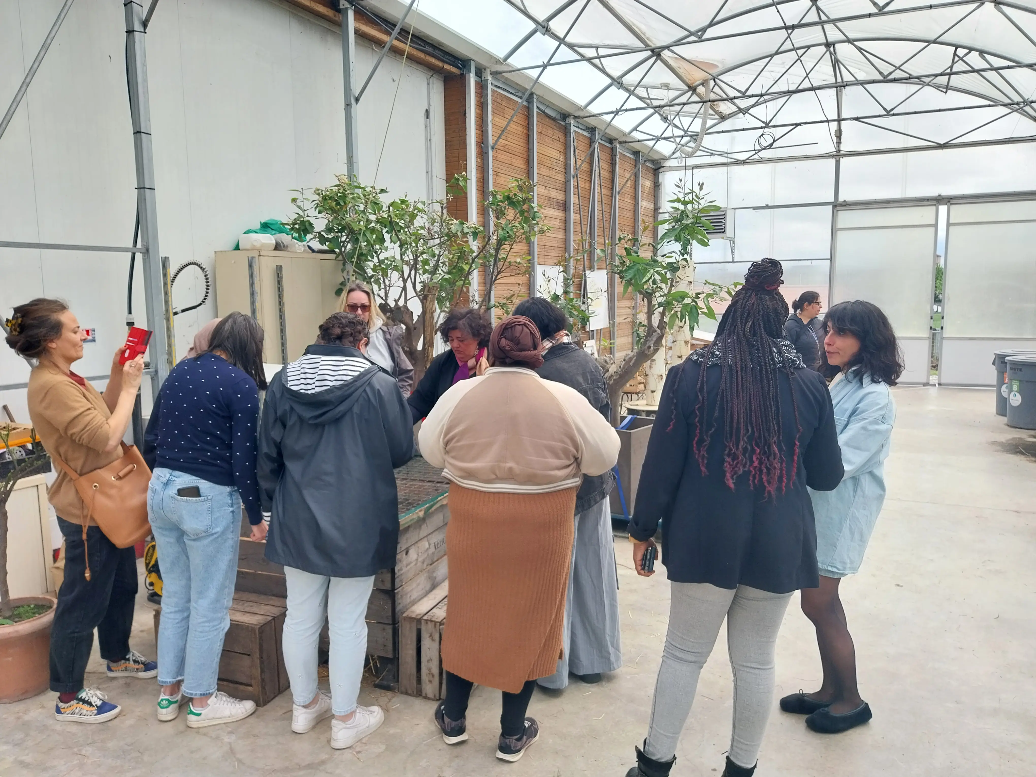Visite d'une ferme urbaine