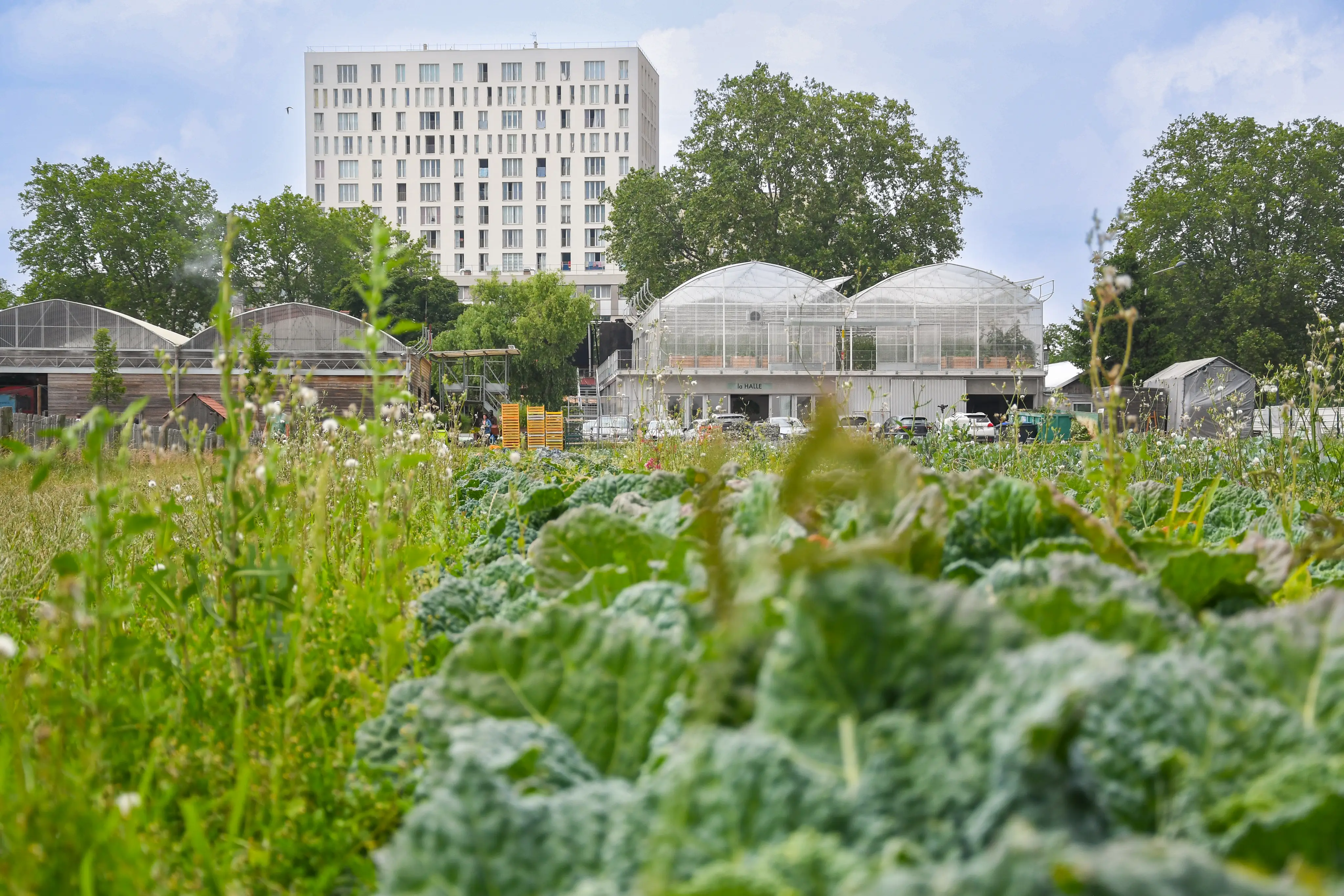 Visite d'une ferme urbaine 3