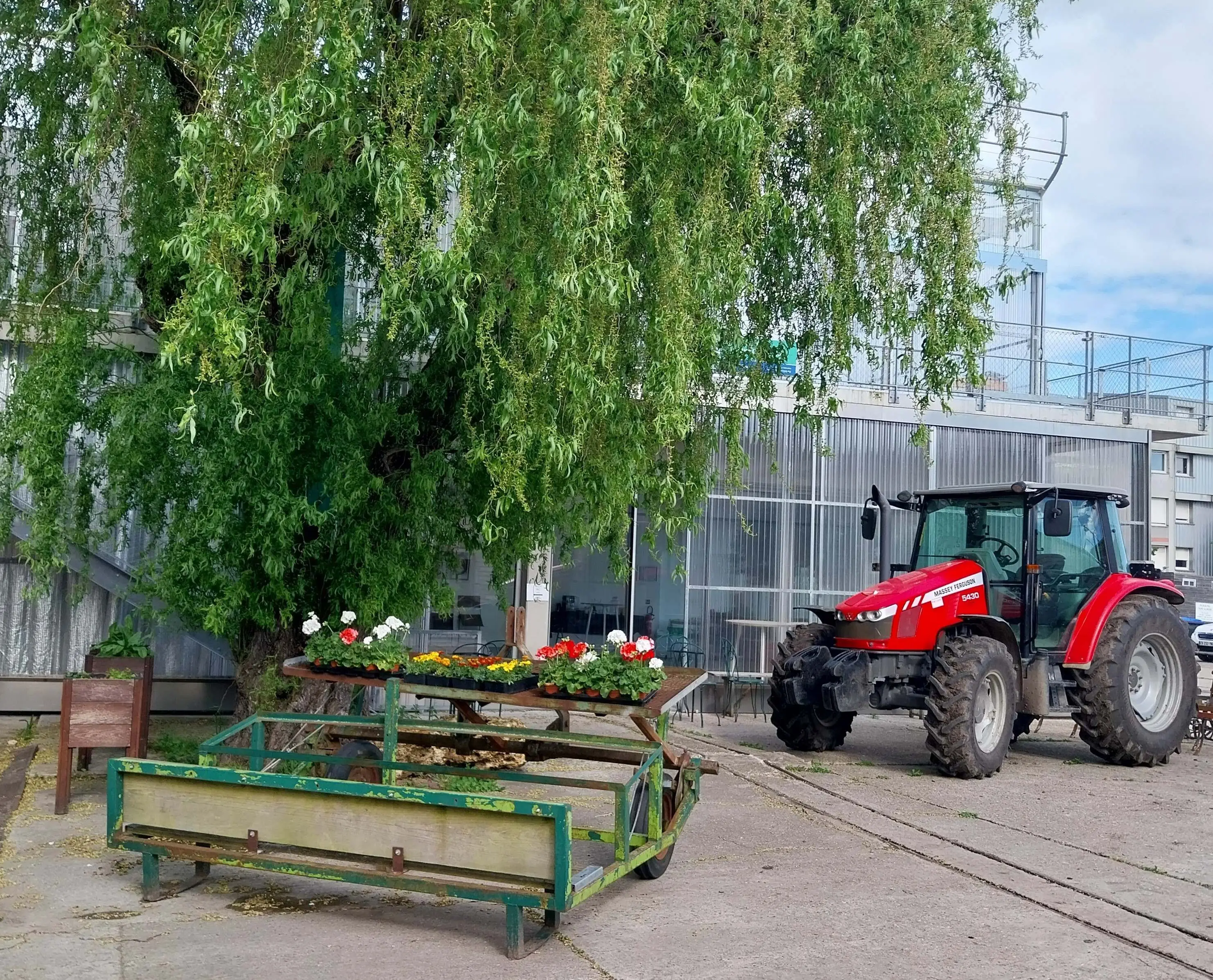 Visite d'une ferme urbaine 4