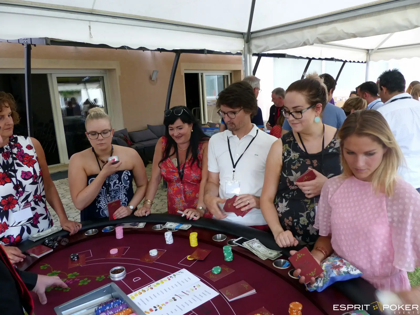 Oenoludique Casino des Vins Dégustation Oenologie 4