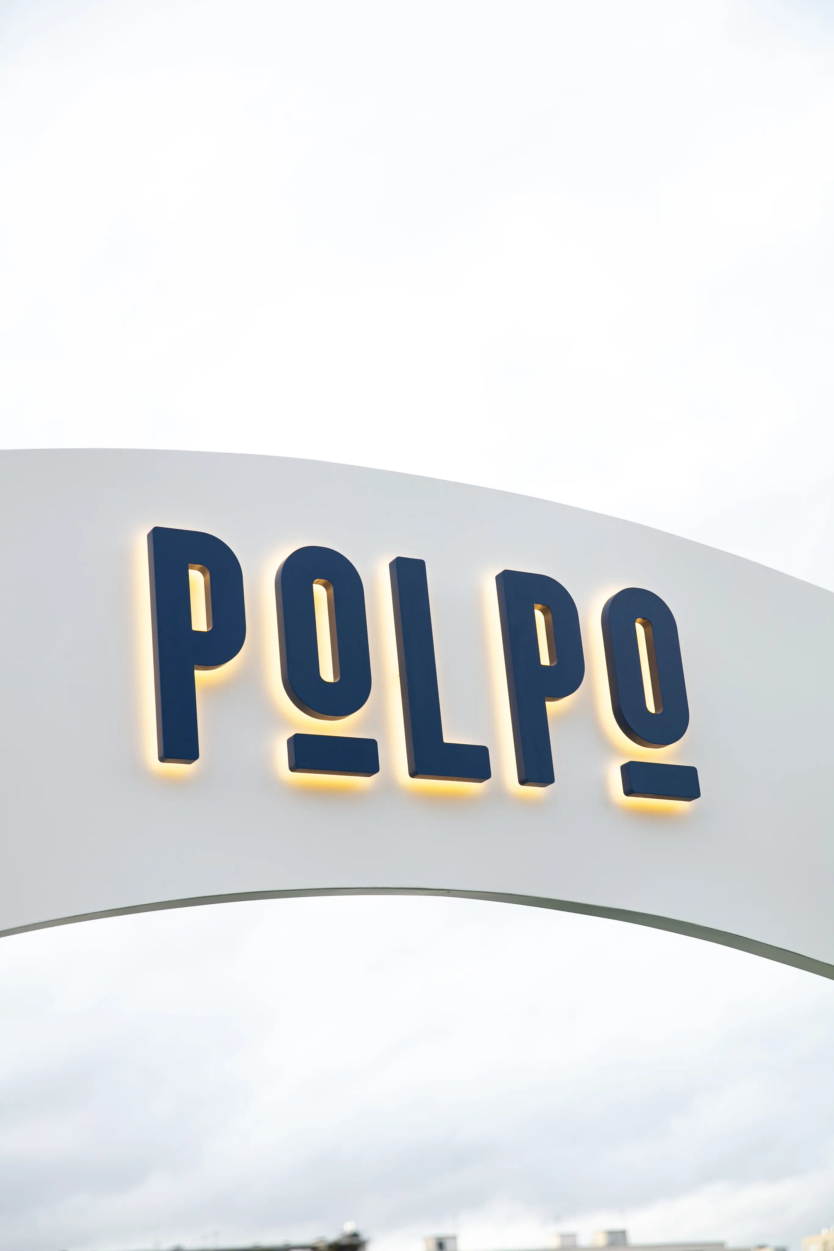 Polpo 2