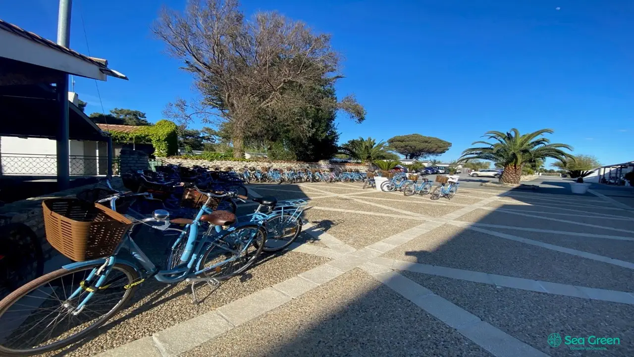 Domaine Hotelier Les Grenettes 39