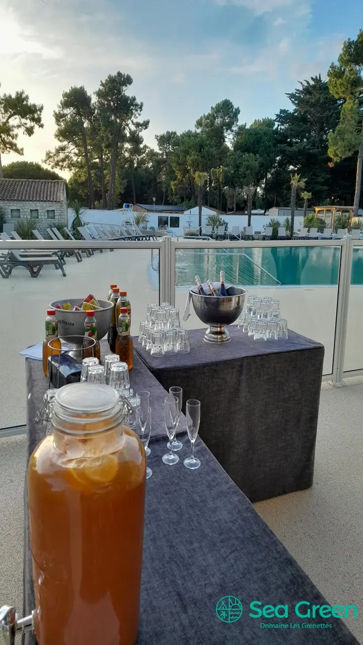Domaine Hotelier Les Grenettes 40