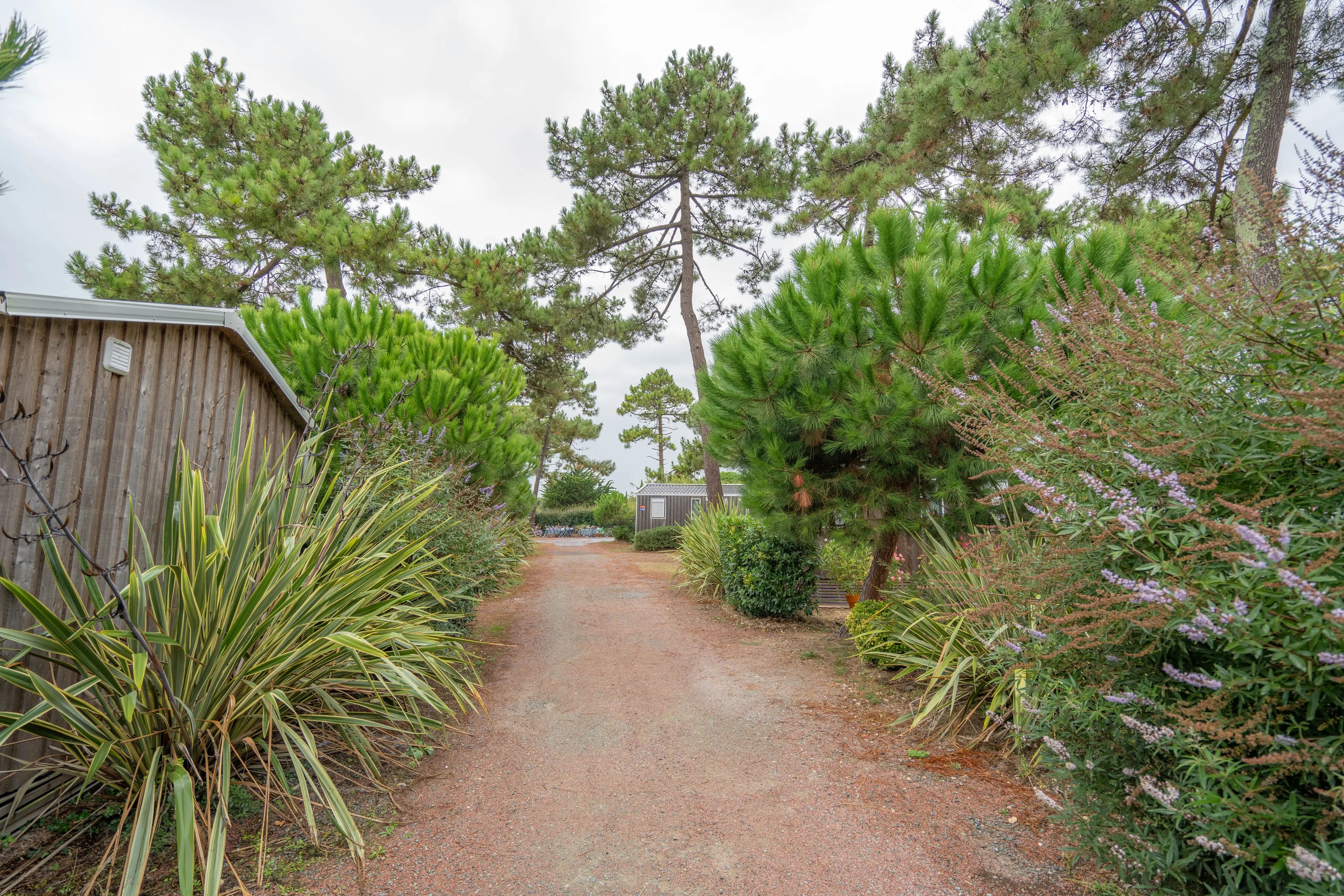 Domaine Hotelier Les Grenettes 88