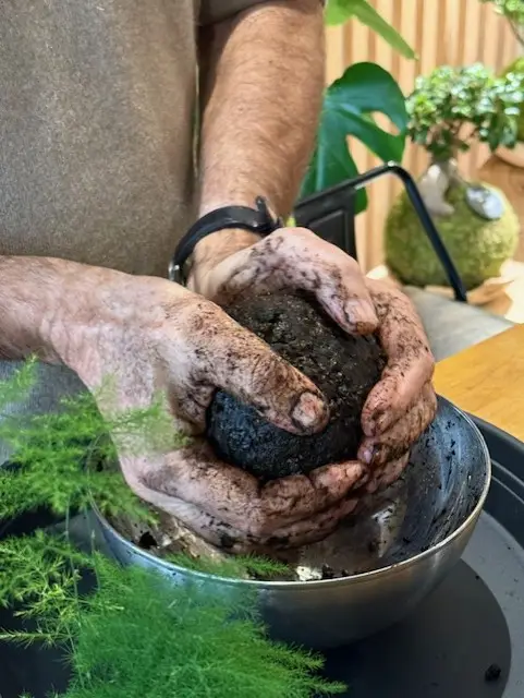 Atelier découverte confection Kokedama 2