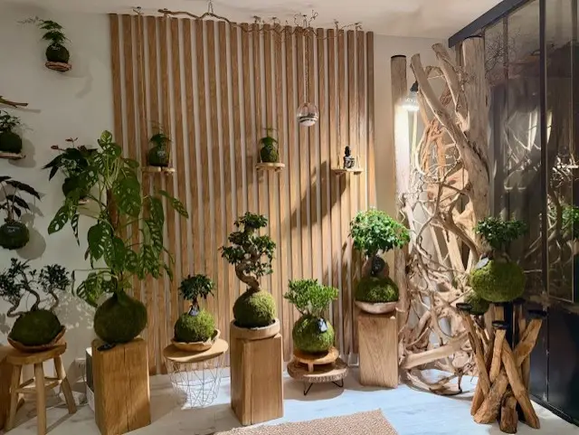 Atelier découverte confection Kokedama 7